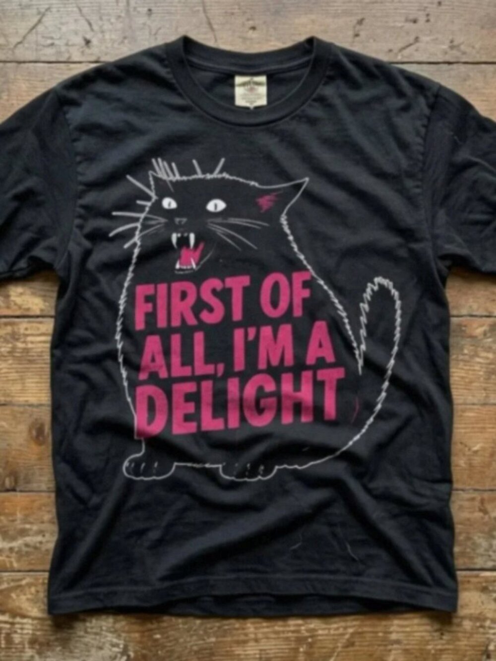 Funny Black Cat Graphic Tee First Of All Im A Delight Vintage Humor Shirt